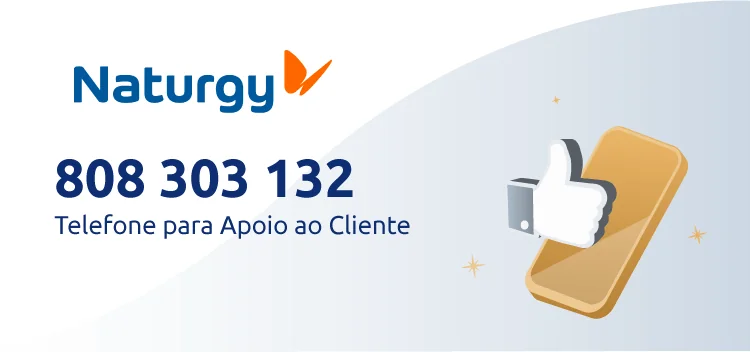 808 303 132